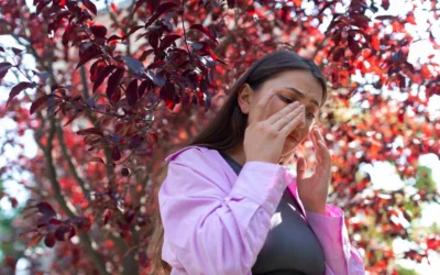 Jarní alergie a oči: jak přežít pylovou sezonu bez slz a svědění